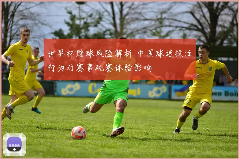 世界杯赌球风险解析 中国球迷投注行为对赛事观赛体验影响