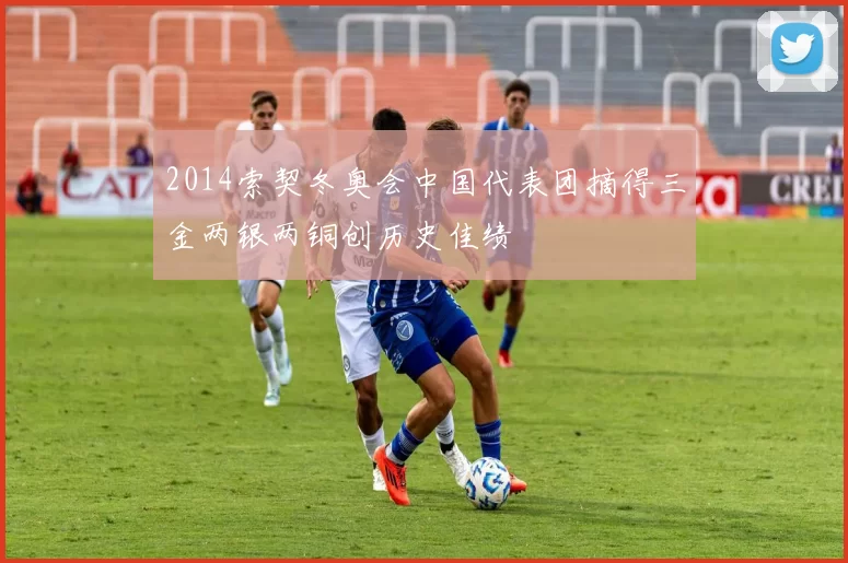 2014索契冬奥会中国代表团摘得三金两银两铜创历史佳绩