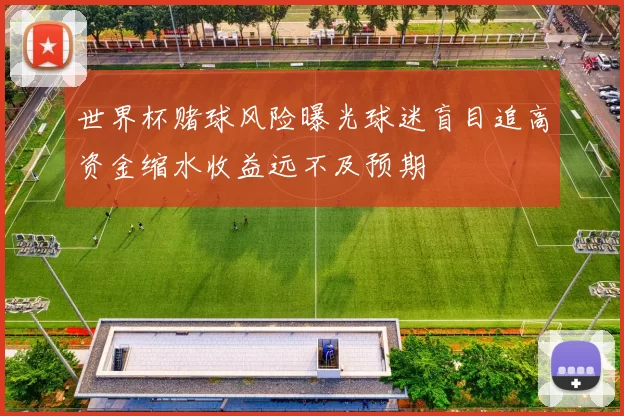 世界杯赌球风险曝光球迷盲目追高资金缩水收益远不及预期
