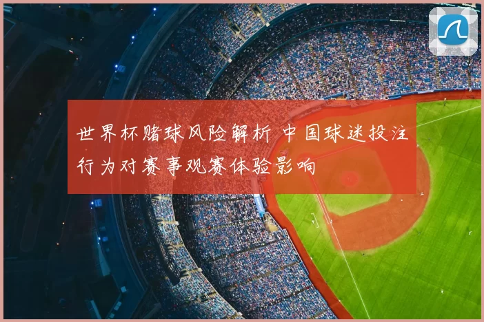 世界杯赌球风险解析 中国球迷投注行为对赛事观赛体验影响