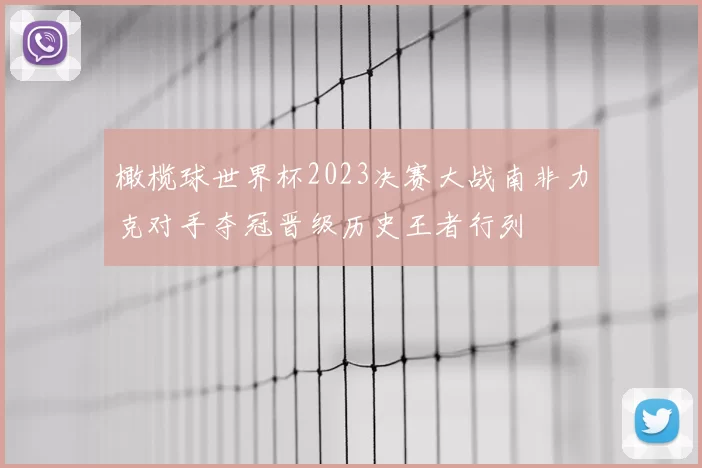 橄榄球世界杯2023决赛大战南非力克对手夺冠晋级历史王者行列