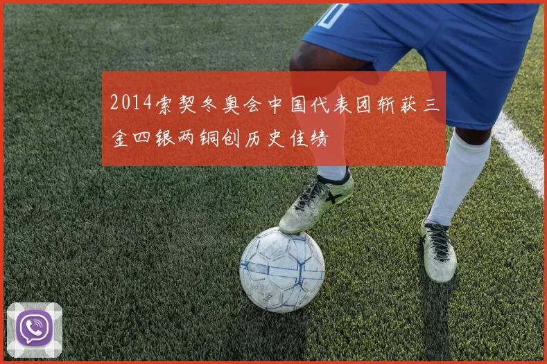 2014索契冬奥会中国代表团斩获三金四银两铜创历史佳绩